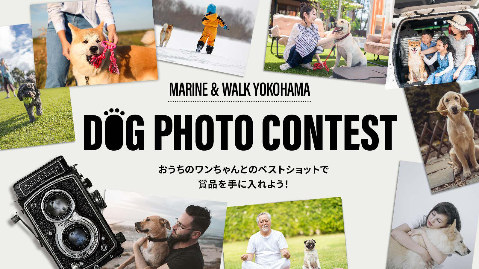DOG PHOTO CONTEST 2022.08.29 mon - 09.11 sun